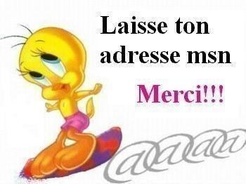 lacher vo msn