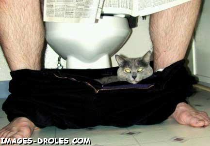 confortable