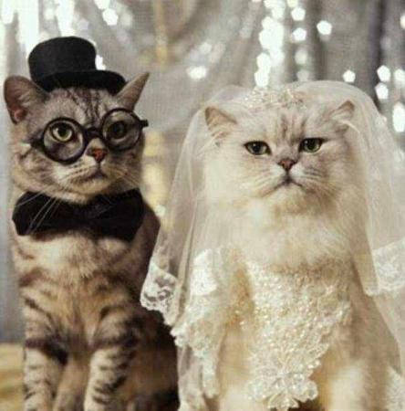mabrouk