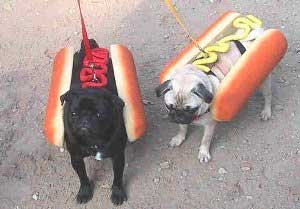 miammiam hot dog(hot chiens)