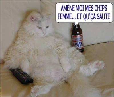 et k sa sauteeeeeeeeeeeeeeeeeeeeee