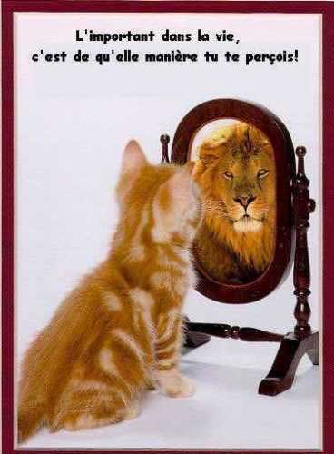 l apprence ne fait po le moine c sa  lol