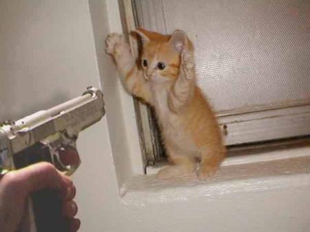 oh les mains